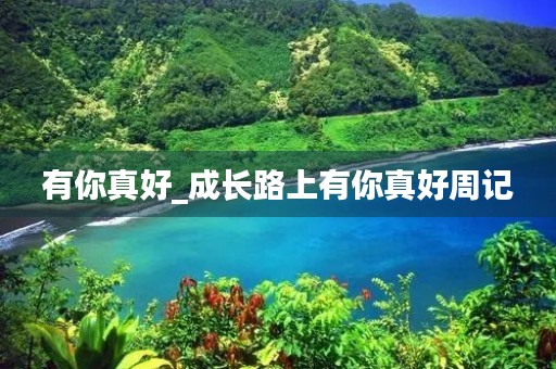有你真好_成长路上有你真好周记
