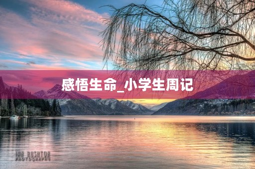 感悟生命_小学生周记 感悟生命_小学生周记