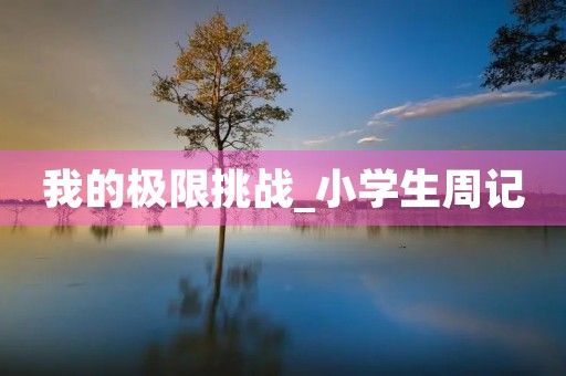 我的极限挑战_小学生周记
