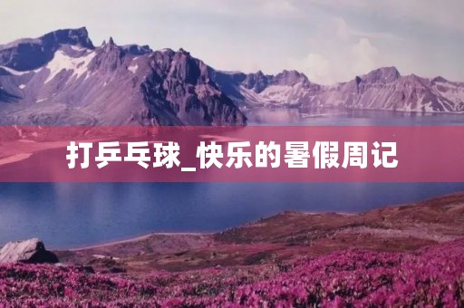 打乒乓球_快乐的暑假周记 打乒乓球_快乐的暑假周记