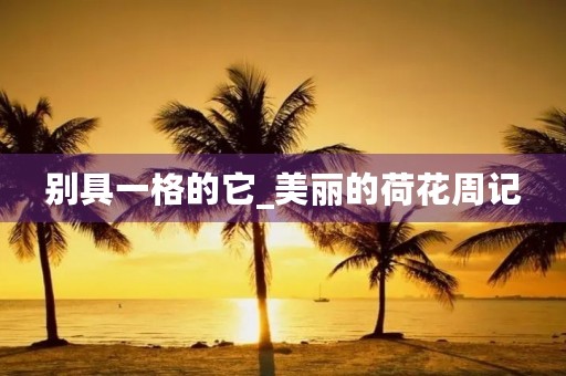 别具一格的它_美丽的荷花周记 别具一格的它_美丽的荷花周记