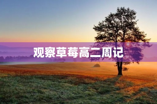 观察草莓高二周记 观察草莓高二周记