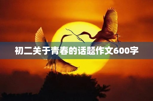 初二关于青春的话题作文600字