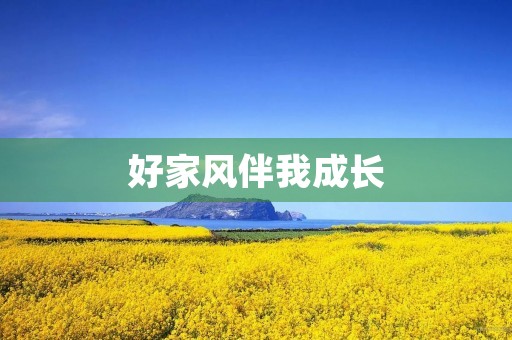 好家风伴我成长