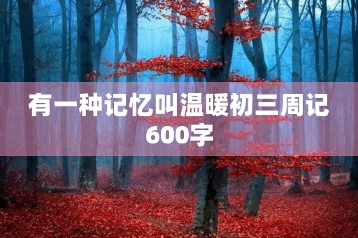 有一种记忆叫温暖初三周记600字
