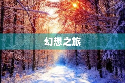 幻想之旅 幻想之旅