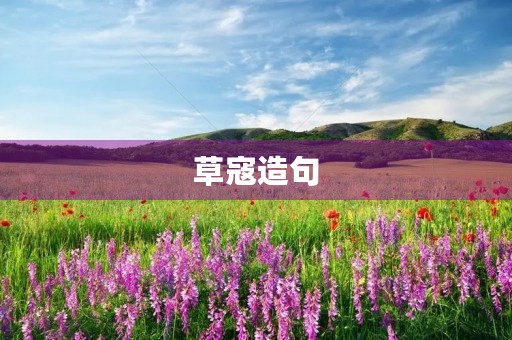 草寇造句