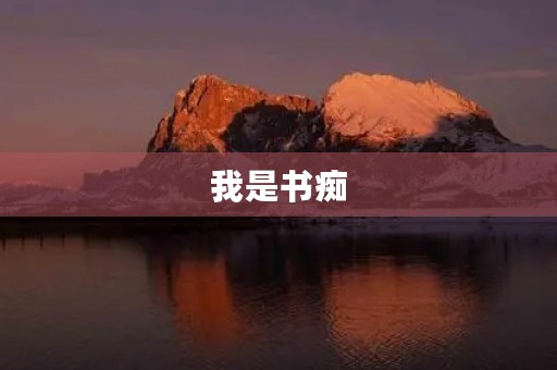 我是书痴 我是书痴