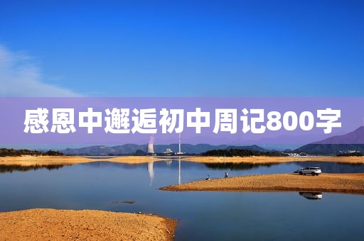 感恩中邂逅初中周记800字
感恩中邂逅初中周记800字