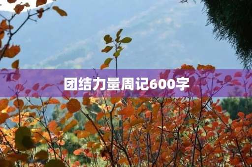 团结力量周记600字 团结力量周记600字