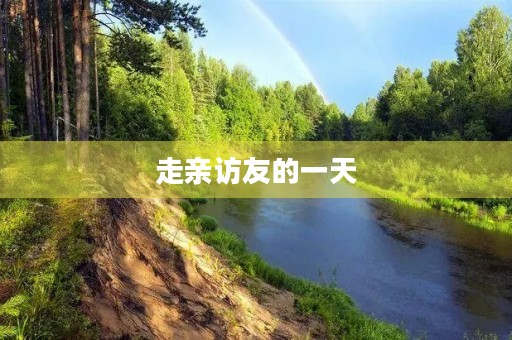 走亲访友的一天 走亲访友的一天