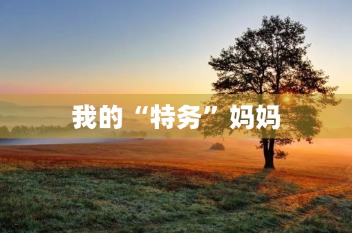 我的“特务”妈妈 我的“特务”妈妈
