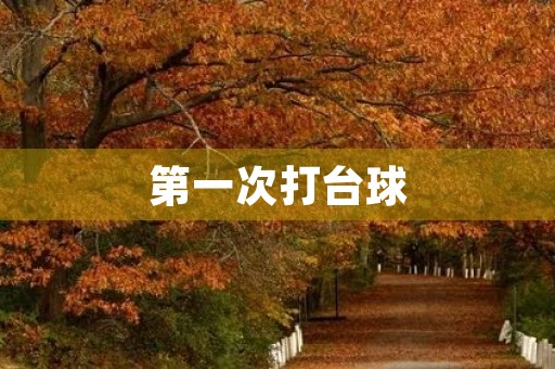 第一次打台球 第一次打台球