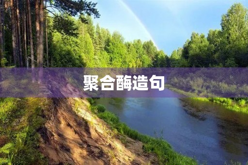 聚合酶造句