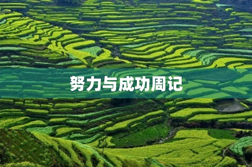 努力与成功周记