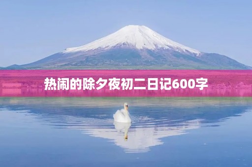 热闹的除夕夜初二日记600字