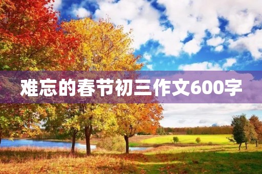 难忘的春节初三作文600字