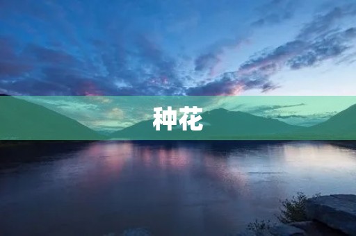 种花