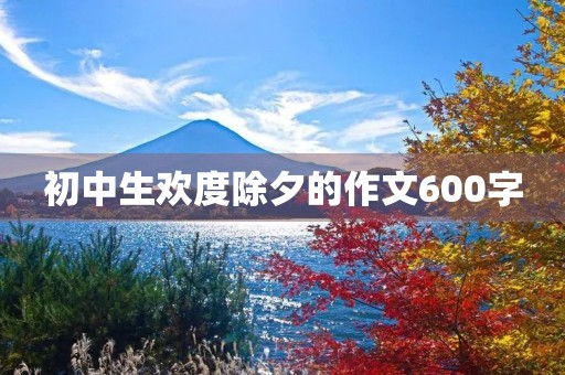 初中生欢度除夕的作文600字 初中生欢度除夕的作文600字