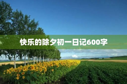 快乐的除夕初一日记600字 快乐的除夕初一日记600字