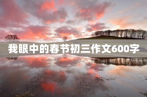 我眼中的春节初三作文600字 我眼中的春节初三作文600字