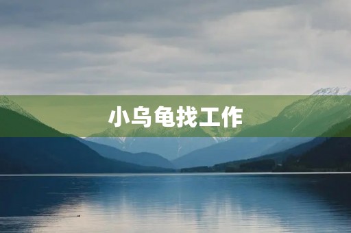 小乌龟找工作 小乌龟找工作