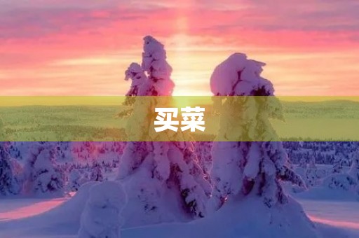 买菜 买菜
