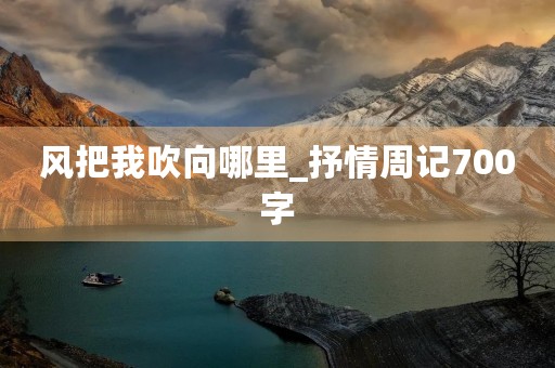 风把我吹向哪里_抒情周记700字
