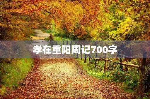 孝在重阳周记700字