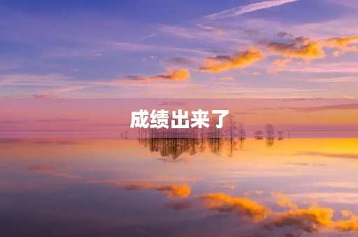 成绩出来了 成绩出来了