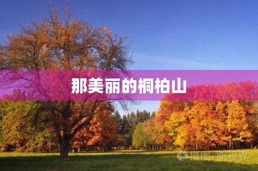 那美丽的桐柏山 那美丽的桐柏山