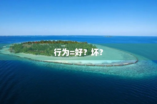 行为=好?坏? 行为=好?坏?