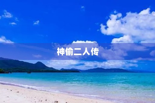 神偷二人传