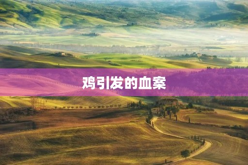 鸡引发的血案 鸡引发的血案