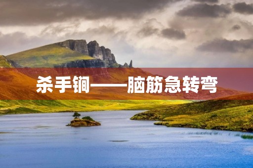 杀手锏——脑筋急转弯 杀手锏——脑筋急转弯