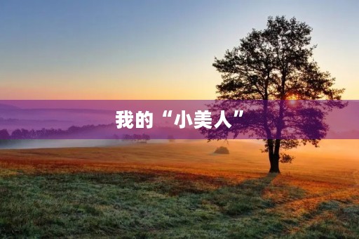 我的“小美人” 我的“小美人”