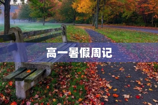 高一暑假周记 高一暑假周记