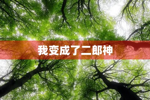 我变成了二郎神 我变成了二郎神