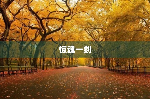 惊魂一刻 惊魂一刻