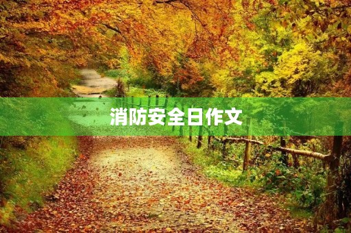 消防安全日作文