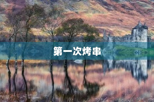 第一次烤串 第一次烤串