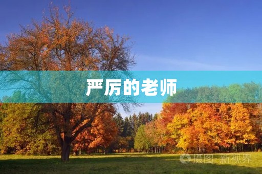 严厉的老师 严厉的老师