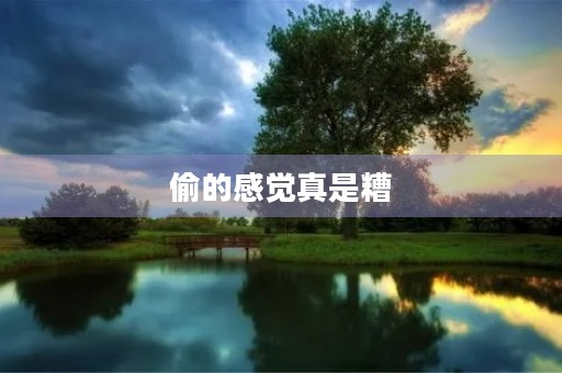 偷的感觉真是糟 偷的感觉真是糟