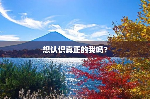 想认识真正的我吗? 想认识真正的我吗?