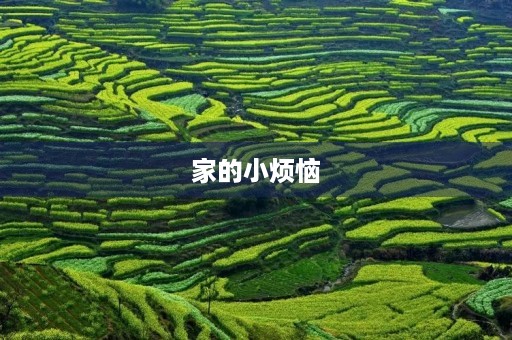 家的小烦恼 家的小烦恼