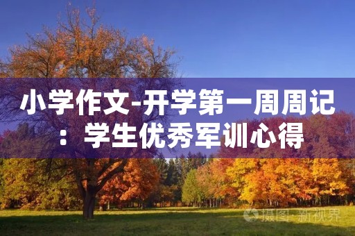 小学作文-开学第一周周记:学生优秀军训心得 小学作文-开学第一周周记:学生优秀军训心得