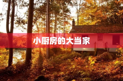小厨房的大当家