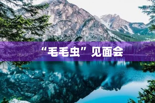 “毛毛虫”见面会 “毛毛虫”见面会