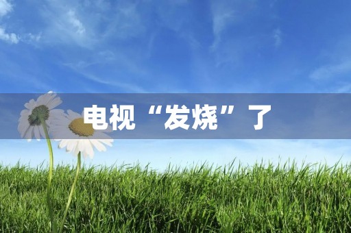 电视“发烧”了 电视“发烧”了