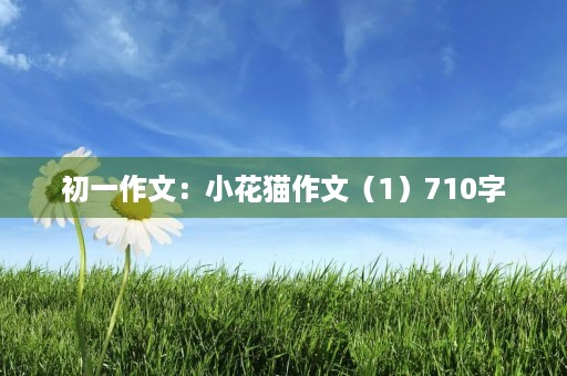 初一作文：小花猫作文（1）710字